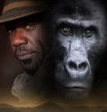 Silverback (2024) Sub Indo